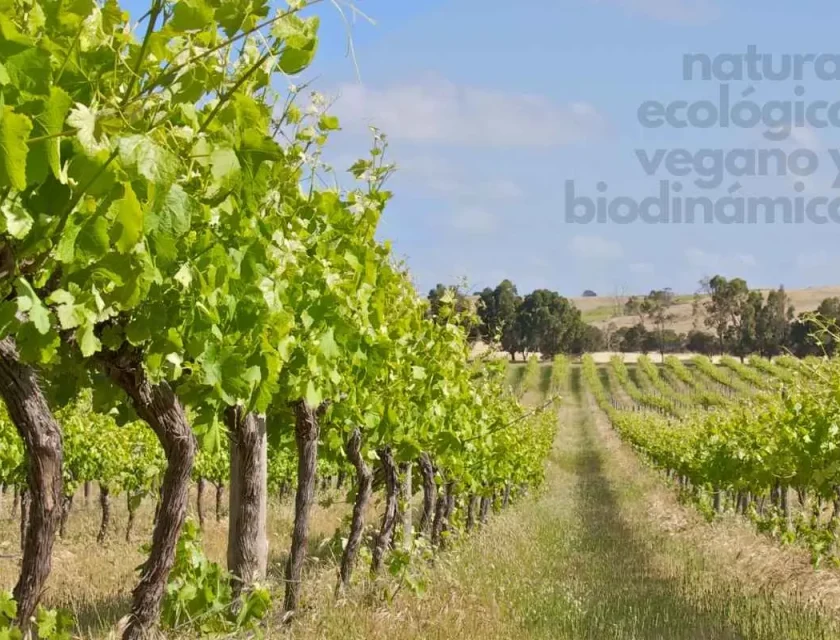 Vinos naturales, veganos, ecológicos y biodinámicos